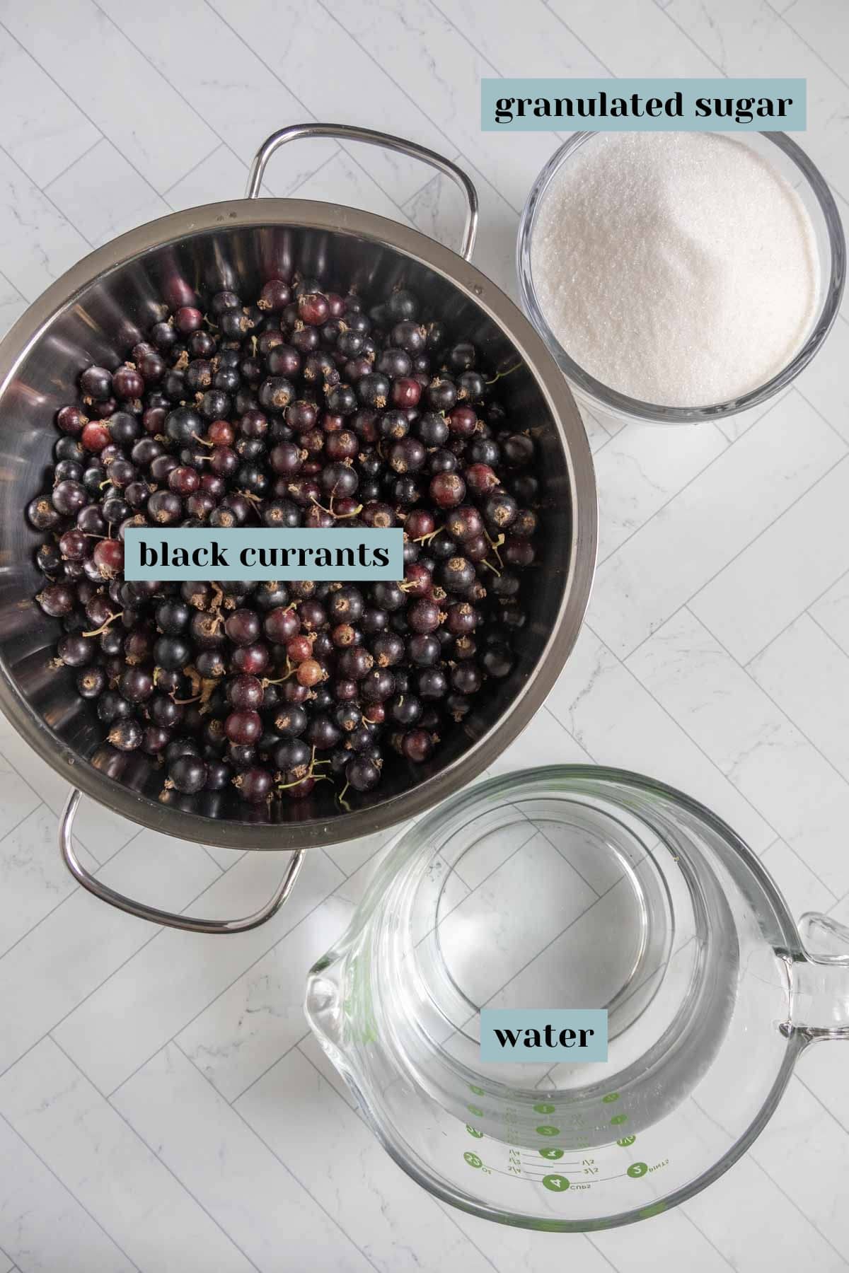 A pot of black currants, a bowl of granulated sugar, and a measuring jug of water are arranged on a white surface.