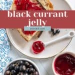 A slice of bread with black currant jelly, a spoonful of jelly, fresh black currants, and a bowl of jelly on a plate; text reads "black currant jelly.