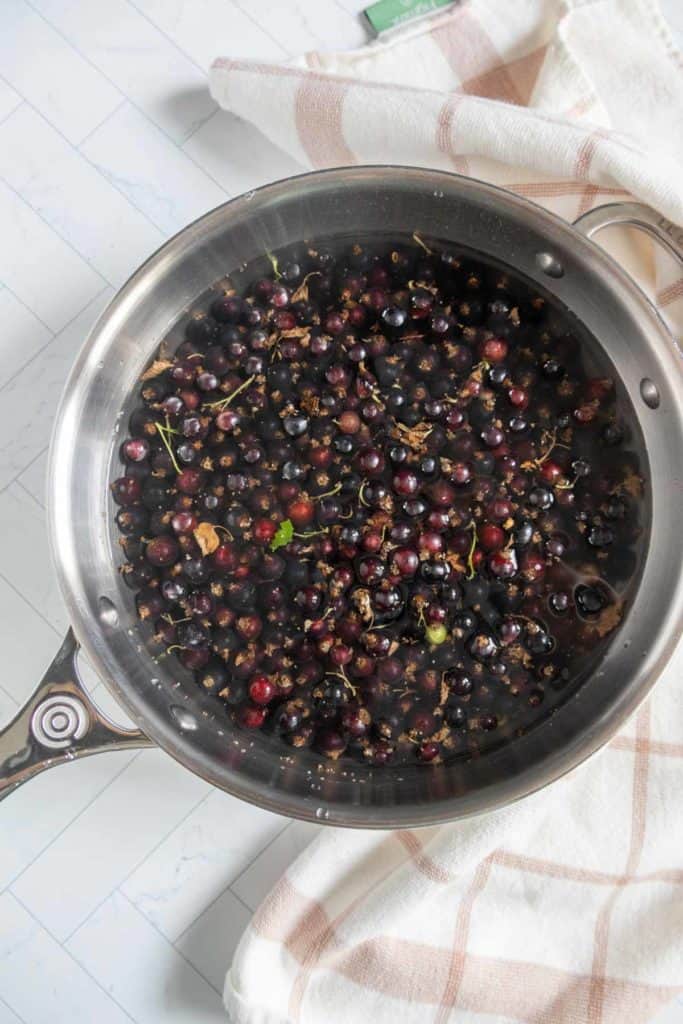 A stainless steel pan filled with blackcurrants and water sits on a white countertop next to a beige and white checkered towel.