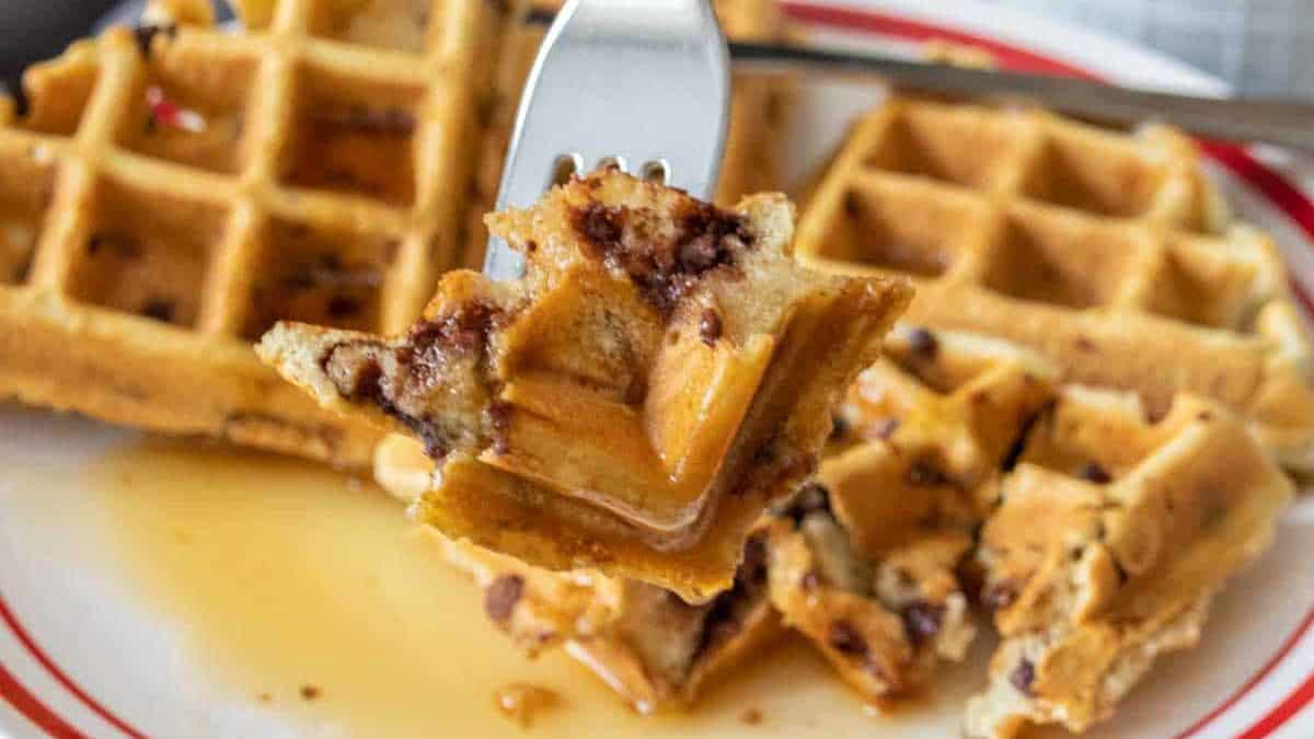 Hand holding a fork with a bite of chocolate chip waffle on it.