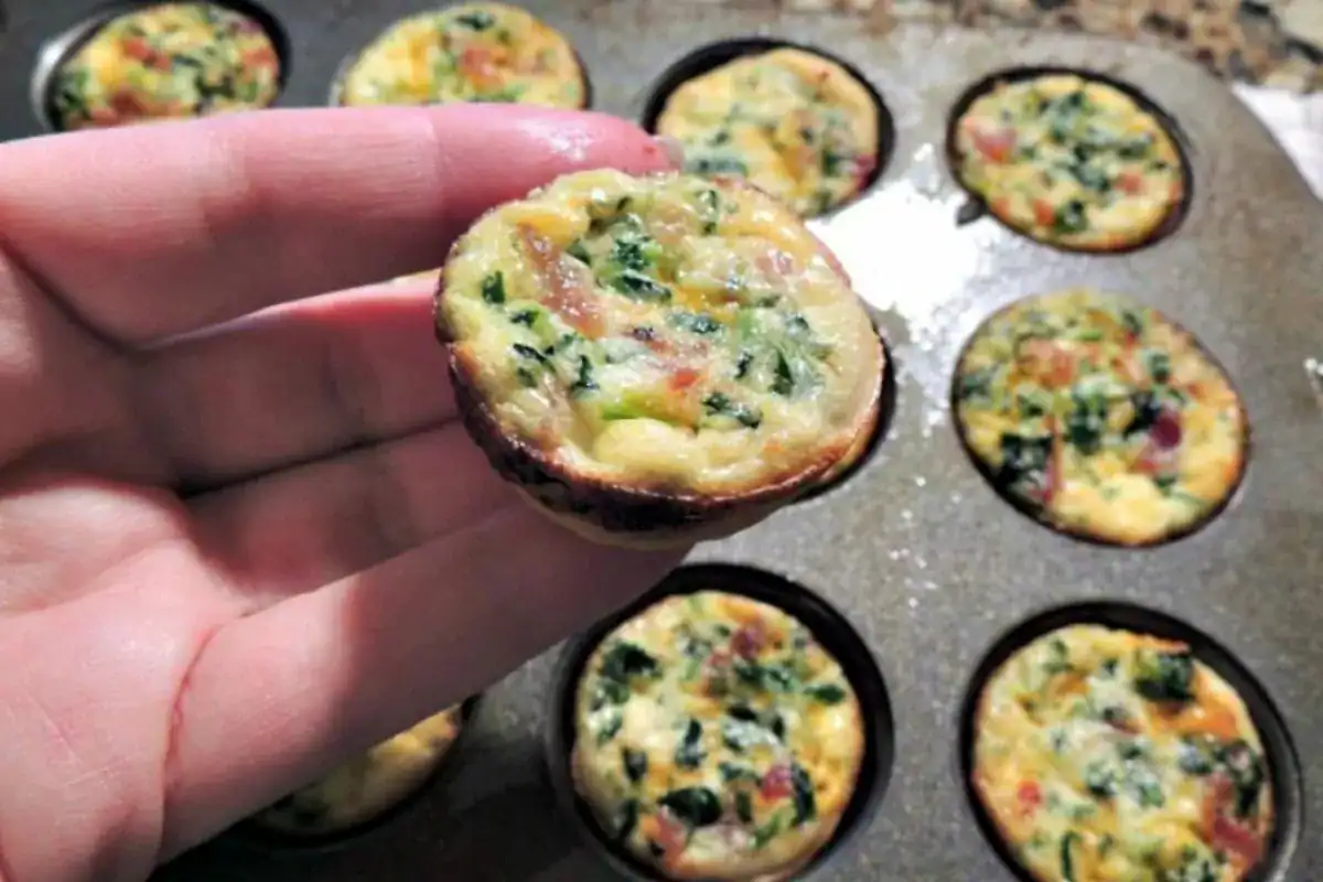 A hand holds a mini egg muffin with spinach and vegetables in front of a muffin tin filled with similar baked egg muffins.
