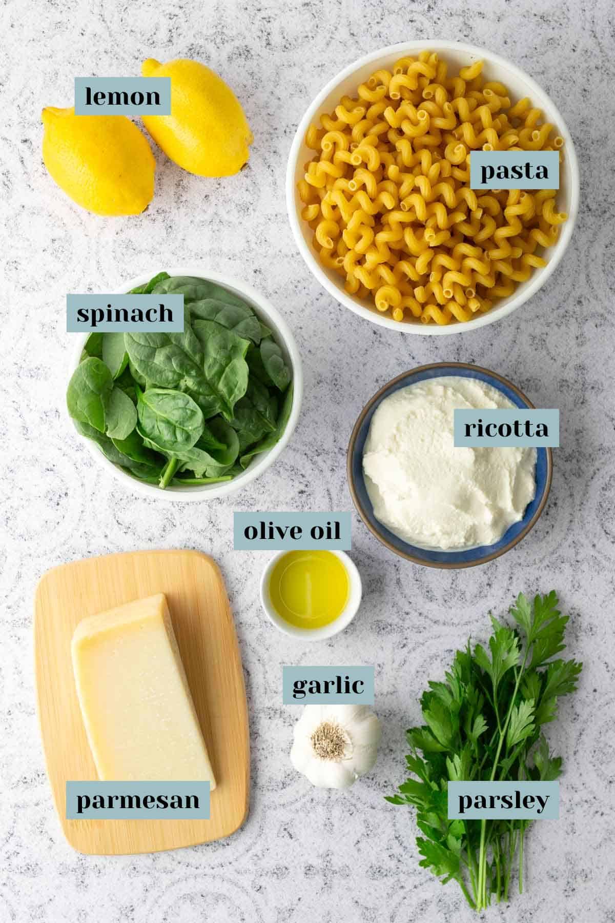 Top-down view of labeled ingredients for a pasta dish: lemon, pasta, spinach, ricotta, olive oil, parmesan, garlic, and parsley on a light surface.
