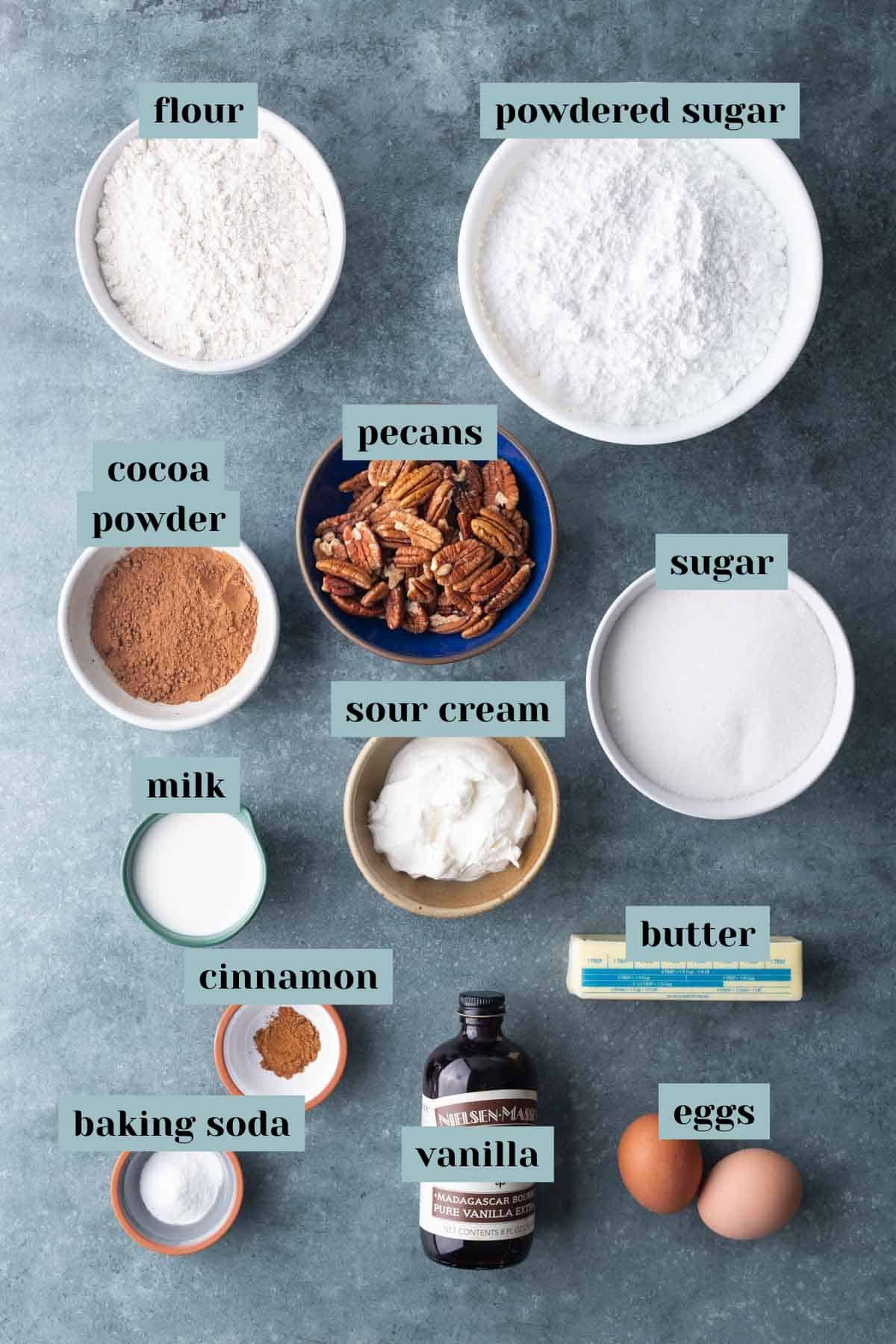 Overhead view of labeled baking ingredients including flour, powdered sugar, cocoa powder, pecans, sugar, milk, sour cream, cinnamon, baking soda, vanilla, butter, and eggs.
