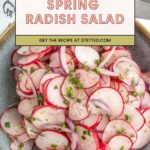 A bowl of sliced radishes and red onions garnished with chopped herbs, with a text overlay reading "Spring Radish Salad. Get the recipe at stetted.com.
