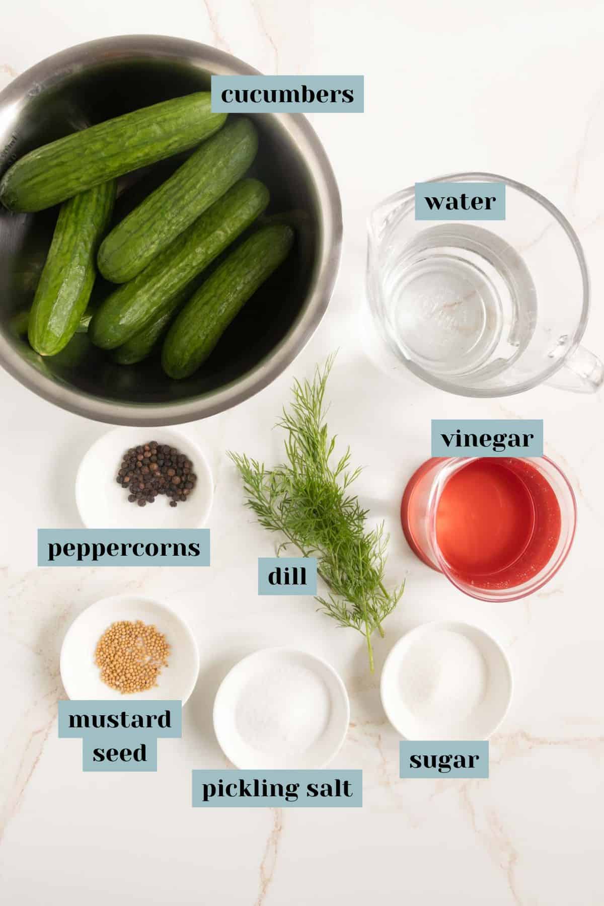 A bowl of cucumbers, a measuring cup of water, a small bowl of vinegar, and dishes with peppercorns, mustard seed, pickling salt, sugar, and fresh dill on a counter.