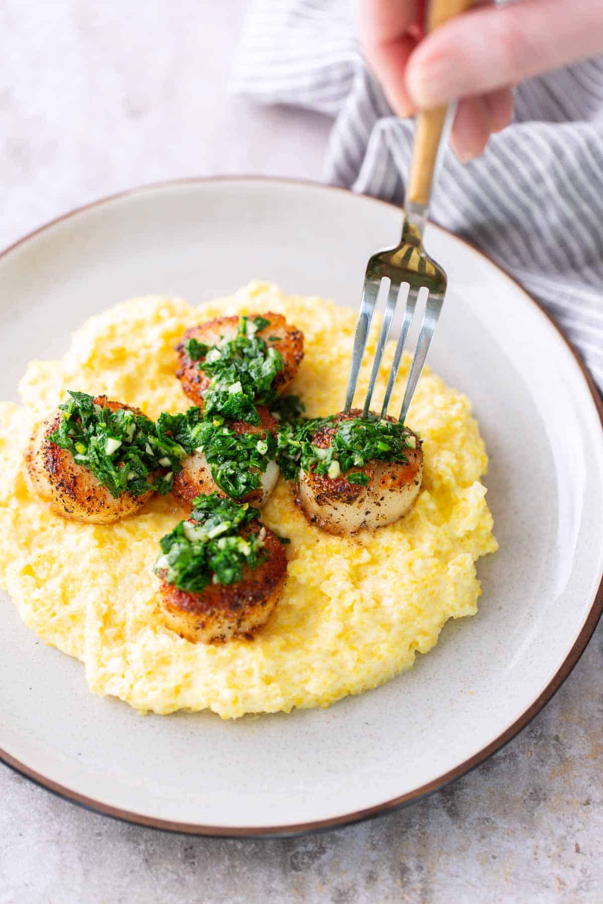 A plate of creamy polenta topped with seared scallops and green herb garnish, with a fork about to pick up a scallop.