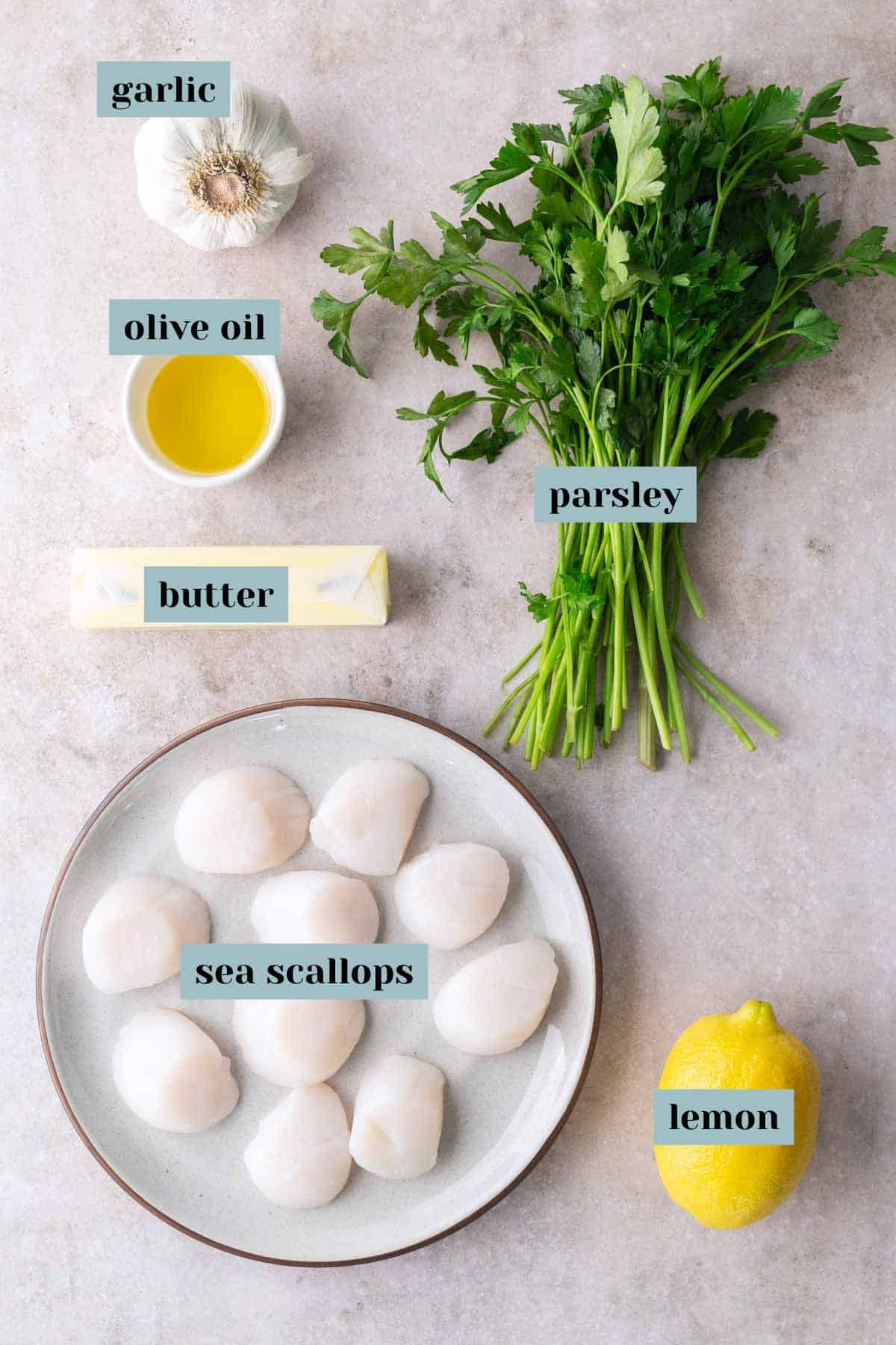A plate of raw sea scallops, a bunch of parsley, a lemon, a bulb of garlic, a small bowl of olive oil, and a stick of butter arranged on a light surface.