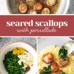 Seared scallops in a pan, a bowl with chopped parsley, garlic, and lemon, and plated scallops on creamy polenta topped with persillade. Text: "seared scallops with persillade.