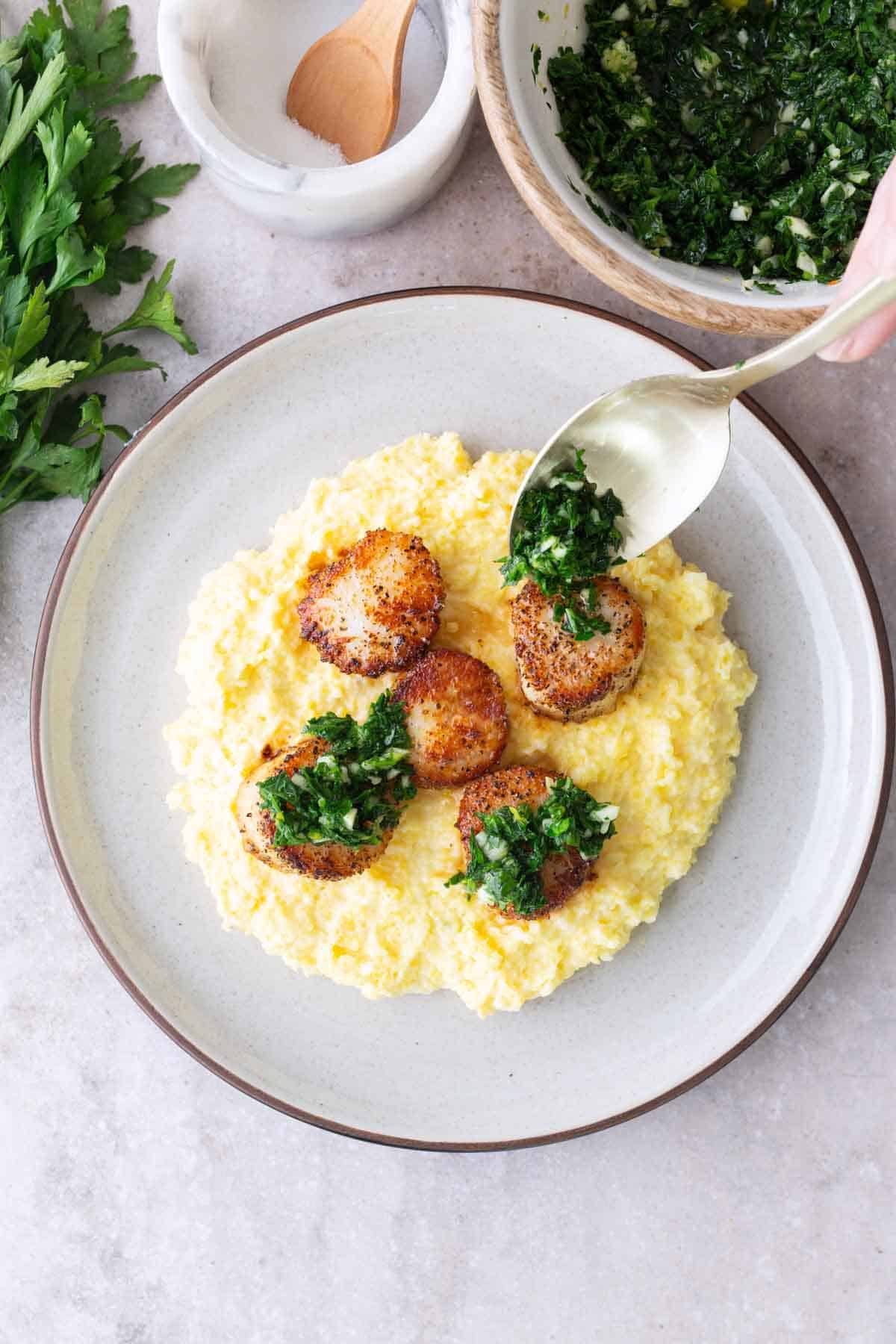 Four seared scallops served on creamy polenta, topped with a spoonful of green herb sauce on a white plate. Fresh parsley and a bowl of sauce are nearby.