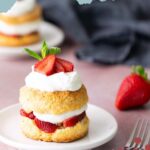 A strawberry shortcake with whipped cream and fresh strawberries sits on a white plate, with a whole strawberry and fork beside it.