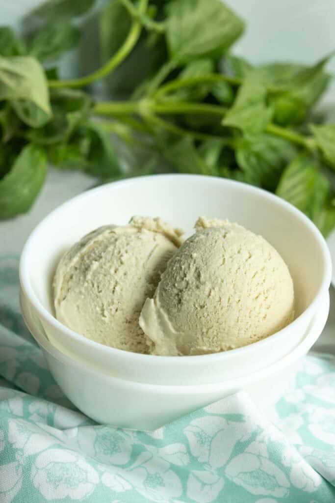 Two scoops of light-colored ice cream in a white bowl, placed on a light blue and white patterned cloth, with green leaves in the background.