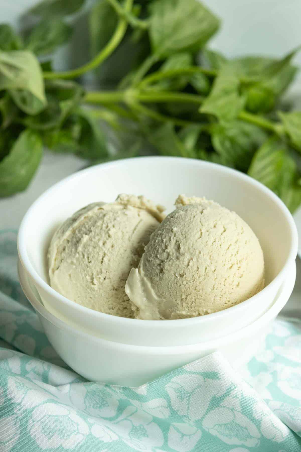 Two scoops of light-colored ice cream in a white bowl, placed on a light blue and white patterned cloth, with green leaves in the background.