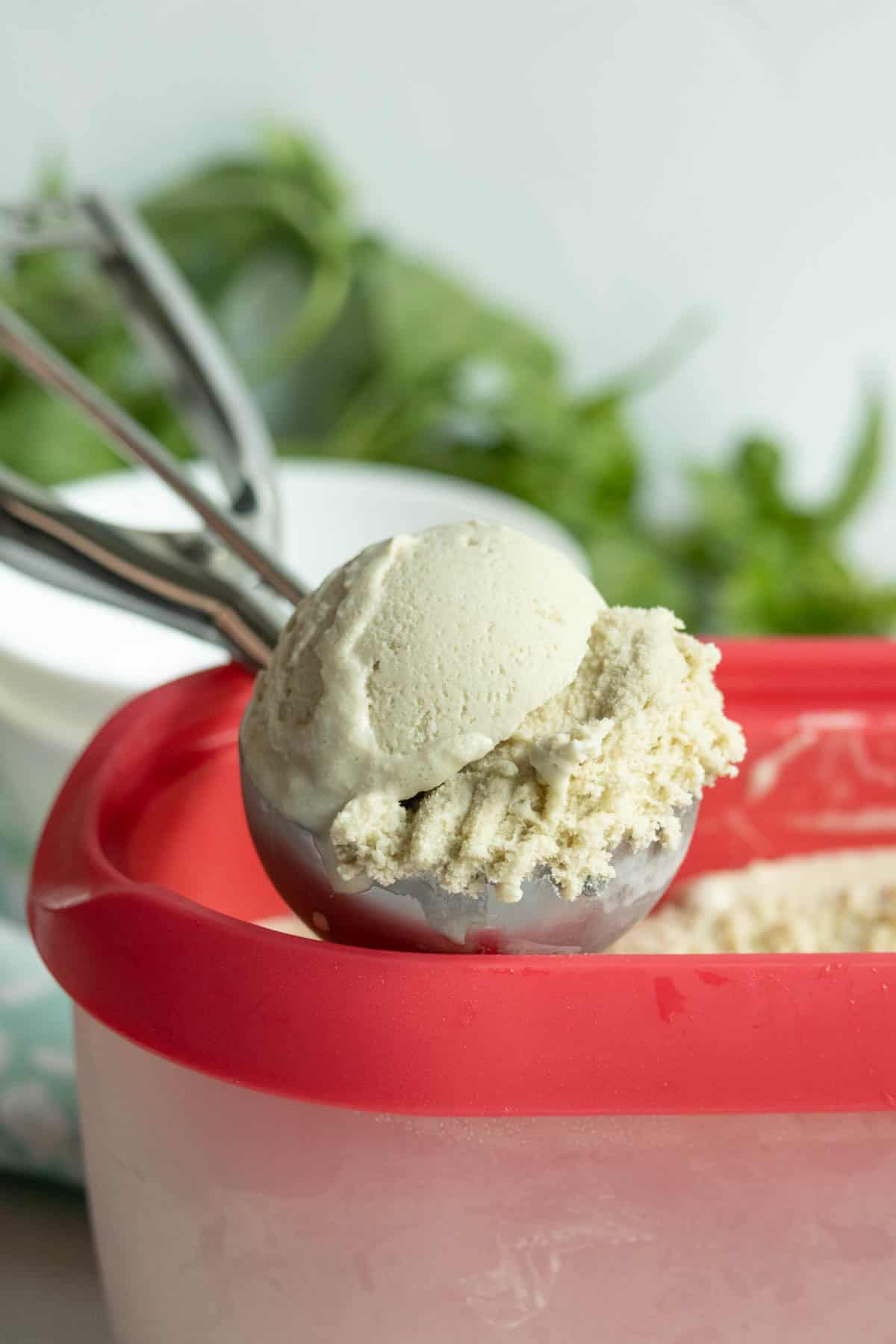 A metal ice cream scoop holds a scoop of vanilla ice cream above a red and white plastic container, with herbs in the background.