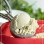 A scoop of basil ice cream in a metal scoop rests on the edge of a red container, with basil leaves blurred in the background.