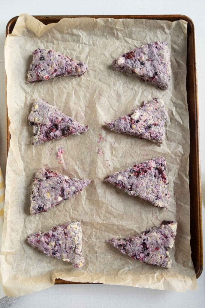 Eight unbaked, triangular scones with visible berries are arranged on a parchment-lined baking sheet.