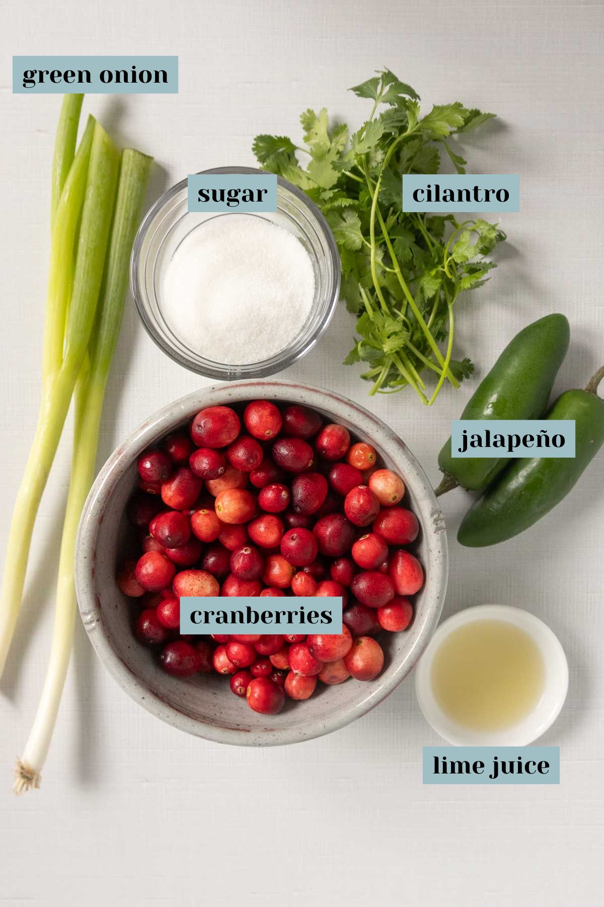 Ingredients for cranberry salsa: green onions, sugar, cilantro, fresh cranberries, jalapeños, and lime juice, each labeled.