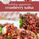 Cranberry salsa served on crackers with cream cheese, with text reading “holiday appetizer cranberry salsa.”