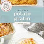 A baking dish of creamy potato gratin and a serving on a white plate with a fork.
